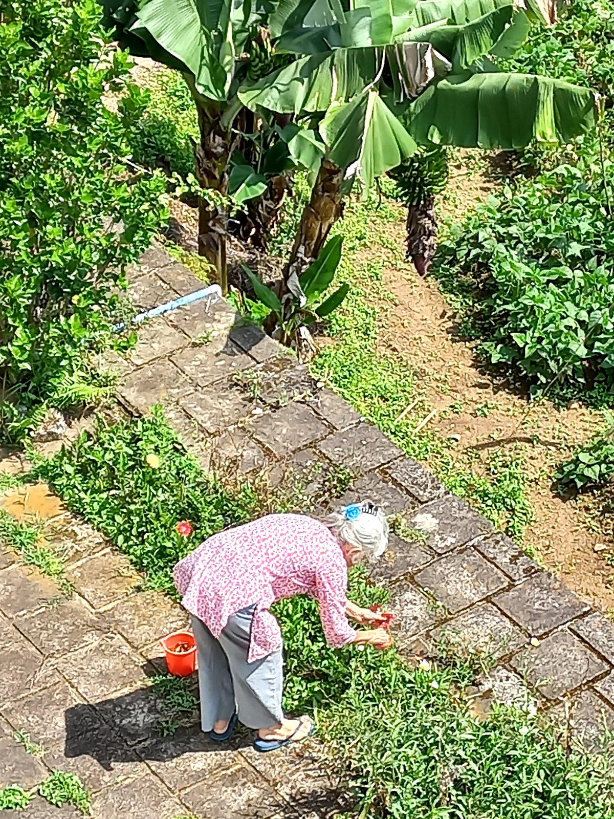 Nurturing the garden